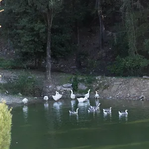 Tenuta La Bandita Sassetta