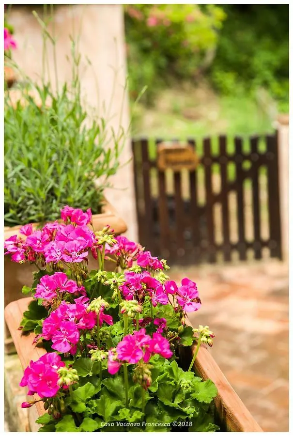 Casa Vacanza Francesca Holiday home Sassetta 0*,  Italy